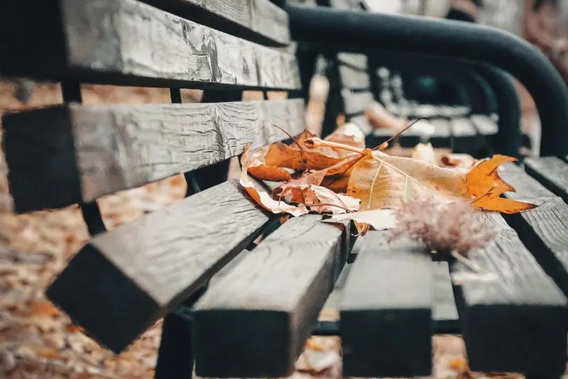 Spend a season deliberately slowing down