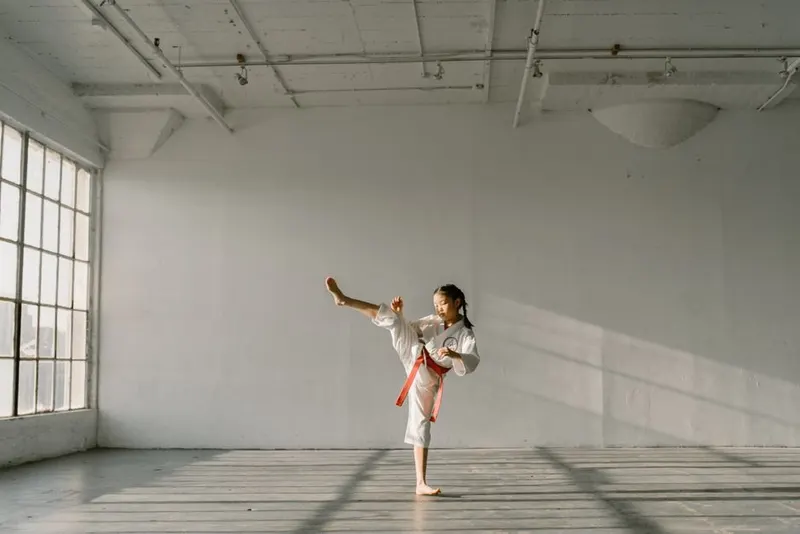 Learn a martial art to a real level