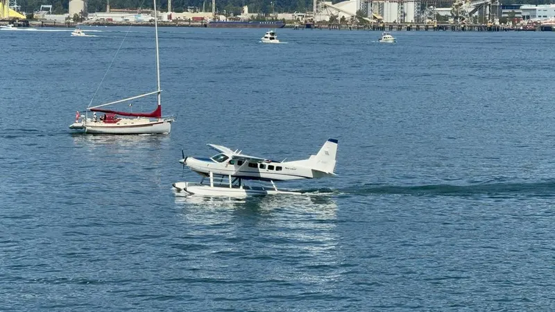 Learn to fly a plane or sail a boat
