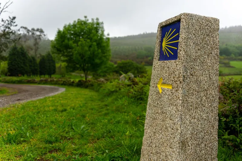 Walk the Camino de Santiago